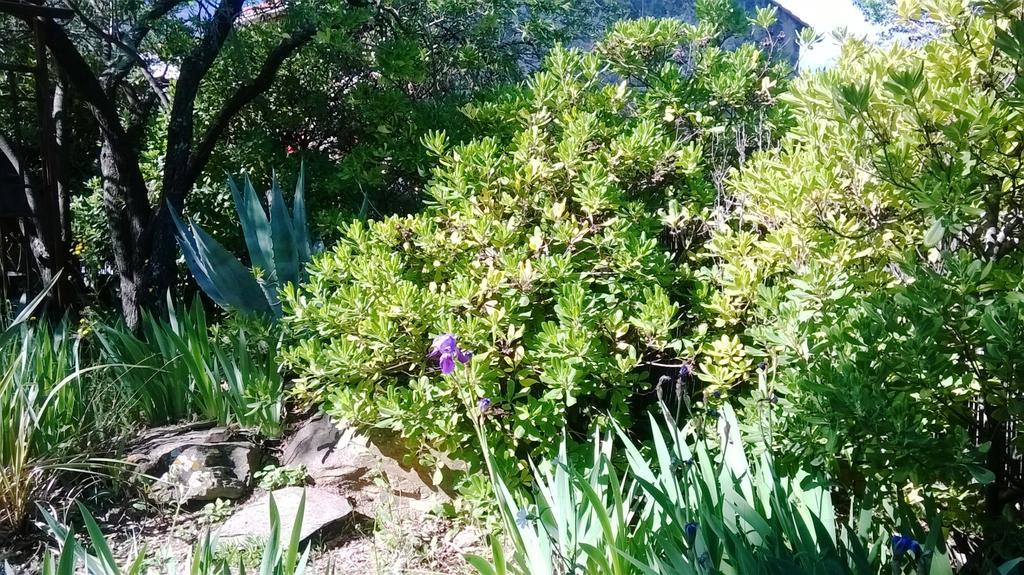 Mas Montebello Rigarda Zewnętrze zdjęcie