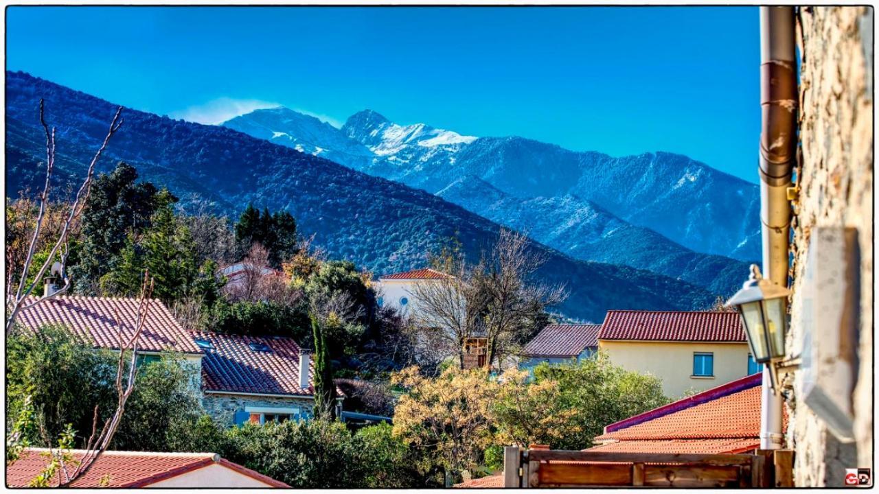 Mas Montebello Rigarda Zewnętrze zdjęcie